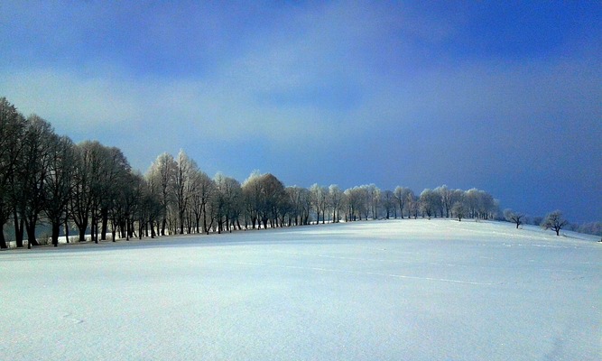 A winter landscape in the nature around Nemilkov.